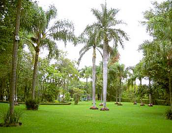 CUERNAVACA Racquet Cuernavaca