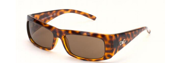 D and G DandG DD 8004 Sunglasses