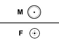 d-link antenna cable - 9 m