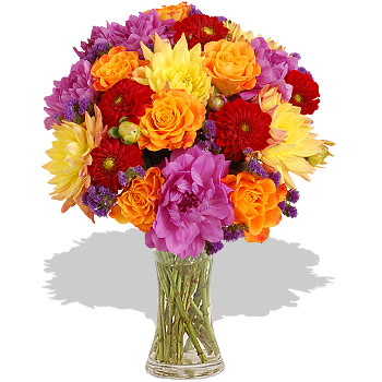 Dahlia Delights - flowers