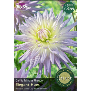 Dahlia Mingus Gregory Tubers