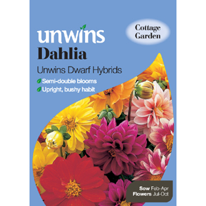 Dahlia Unwins Dwarf Hybrids Seeds