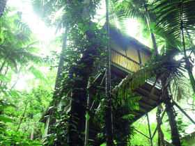 Daintree luxury accommodation