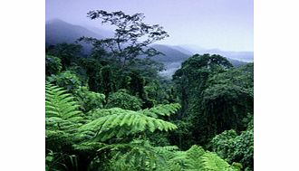 Daintree Walkabout from Port Douglas - Child