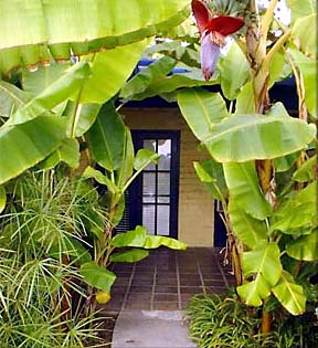 DANA POINT Capistrano Seaside Inn