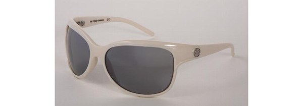 DandG DD 8019 Sunglasses