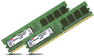 dane-elec Premium PC Memory Dual Channel Kit - DDR2 533Mhz (PC2-4200) - 2GB (2x 1GB Modules)