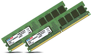 dane-elec Premium PC Memory Dual Channel Kit - DDR2 667Mhz (PC2-5300) - 2GB (2x 1GB Modules)