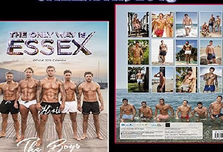 Danilo THE ONLY WAY IS ESSEX THE BOYS OFFICIAL 2015 CALENDAR   TOWIE THE BOYS FRIDGE MAGNET