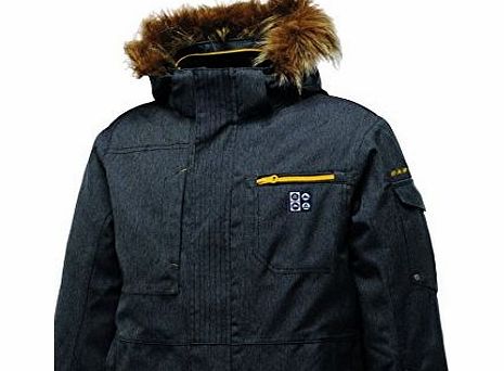 Dare 2b Dare2b Warrior Boys Waterproof Breathable Hooded Ared 8000 Ski Jacket (Grey, 9 - 10 years (EU 140))