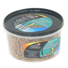 Dawn Chorus Dried Mealworm Tub 500ml by Pets at Home