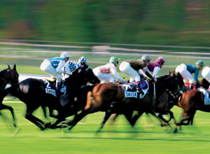 Day discovering horse racing (for two)