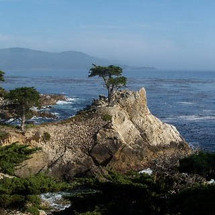 Day Trip to Monterey and Carmel - Adult