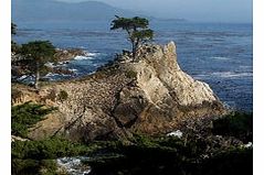 Day Trip to Monterey and Carmel - Child