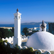 Day Trip to Tangier - Adult ex Estepona