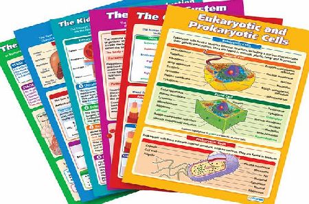 Daydream A-Level Biology Poster TD172