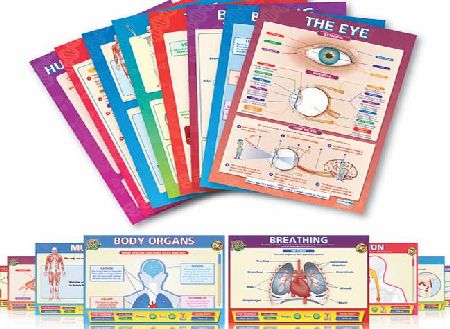 Daydream Elementary Anatomy Interactive CD TD-I-132