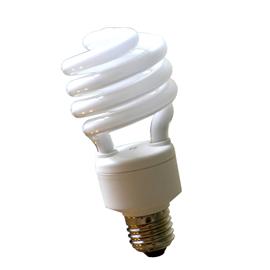 Daylight Bulb Screw Cap 100W