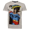 DC COMICS Superman Eagle T-Shirt (White)