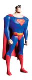 Superman vs. Doomsday: Superman Action Figure