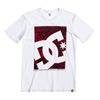 DC SHOES DC Curber T-Shirt (White)
