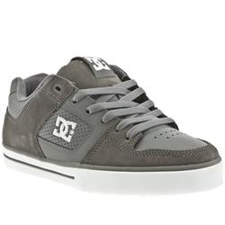 Dcshoe Co Male Dc Shoes Pure Suede Upper in Grey