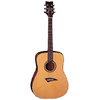 Dean Daytona Acoustic Guitar
