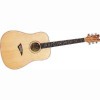 Dean Electro Acoustic Tradition Exotic Guitar -
