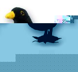 Finger Puppet: RSPB Blackbird