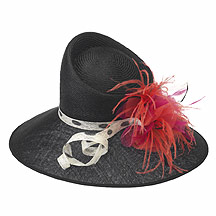 Debenhams Black feather corsage & spotted coil hat