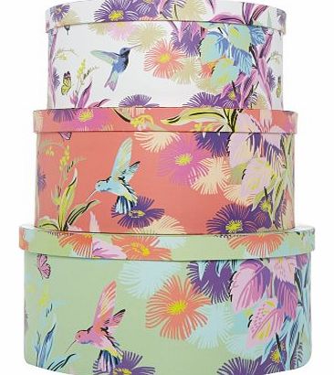 Debenhams Butterfly Home By Matthew Williamson Designer Set Of 3 Hummingbird Hat Boxes