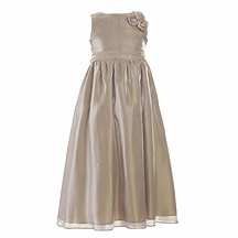 Girls gold organza dress