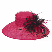 Hot pink feather trim hat