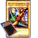 Deckboosters YuGiOh : DLG1-EN018 Limited Ed Right Leg of the Forbidden One Common Card - ( Dark Legends Yu-Gi-Oh!