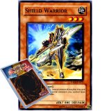 YuGiOh : DP08-EN007 1st Ed Shield Warrior Common Card - ( Yusei Duelist Pack Yu-Gi-Oh! Single Card )