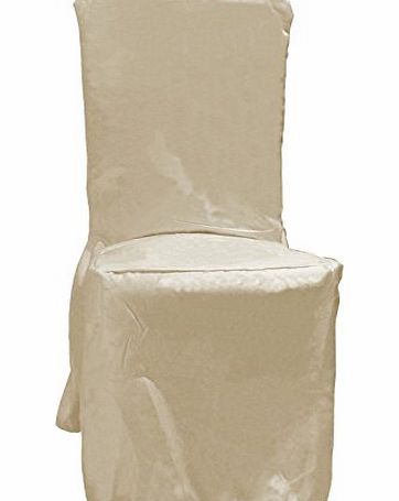 Decor Essentials DINING CHAIR COVERS PLAIN WITH PLEATS IN 3 COLORS (Ivory)