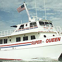 Deep Sea Fishing in The Gulf Of Mexico Orlando