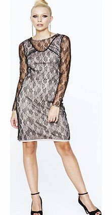Definitions Fine Lace Bodycon Dress