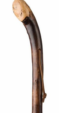Delfa Walking stick made of chestnut burl wood