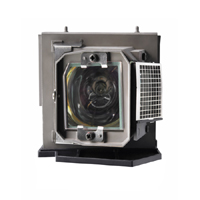 4210X Replacement Projector Lamp