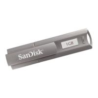 dell SanDisk Cruzer Professional - USB flash drive - 1 GB - Hi-Speed USB