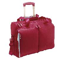 Delsey Luggage Cocon Trolley 48 Hours Cabin Travel Bag Raspberry and Blue