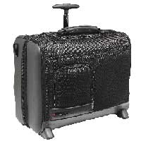 Delsey Luggage Protexi 2-Cpt Trolley Boardcase Black