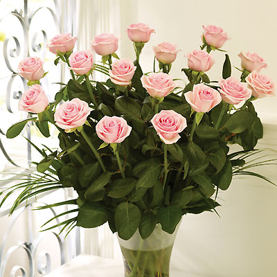 18 Pink Rose Vase