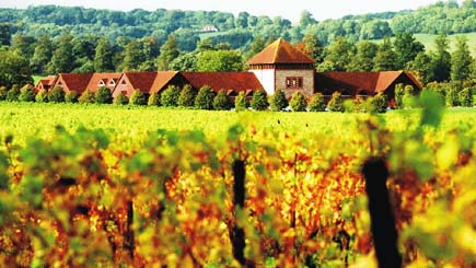 Deluxe English Vineyard Tour