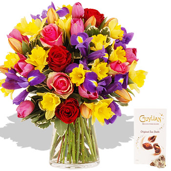 Deluxe Rainbow and Chocolates - flowers
