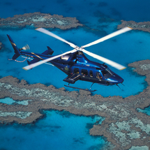 Reef and Rainforest Scenic Helicopter Flight - Adult