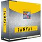 Deneba Canvas v9 Pro Mac