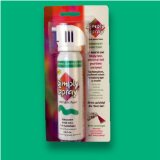 Deval Products LLC Simply Spray Fabric Spray Paint - Spring Green