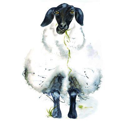 Dexam Anglea Hewitt Sheep Tea Towel